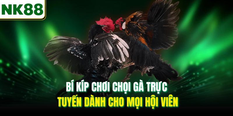 Bí kíp chơi chọi gà trực tuyến dành cho mọi hội viên
