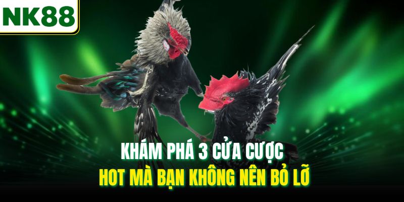 Khám phá 3 cửa cược hot mà bạn không nên bỏ lỡ